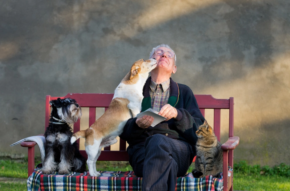 A New Dog in Later Years: Here Are the 11 Best Dogs for Seniors