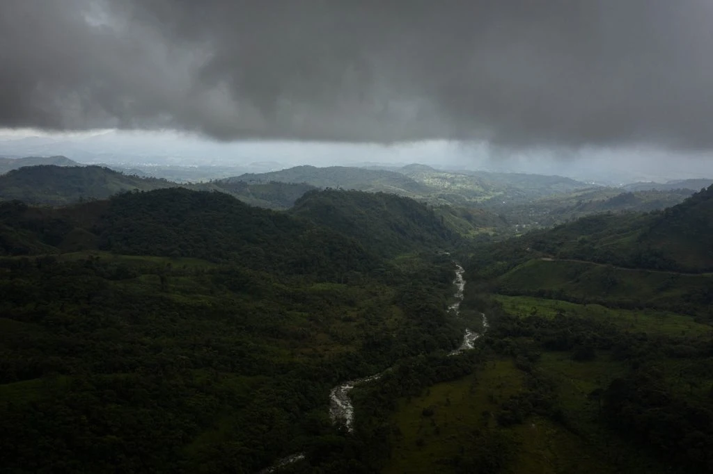 Brazil Clears Protected Rainforest to Build New Highway for COP30
