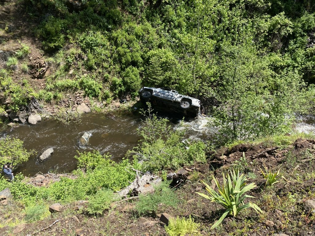 Dog Saves Owner After Car Crash in Oregon Mountains