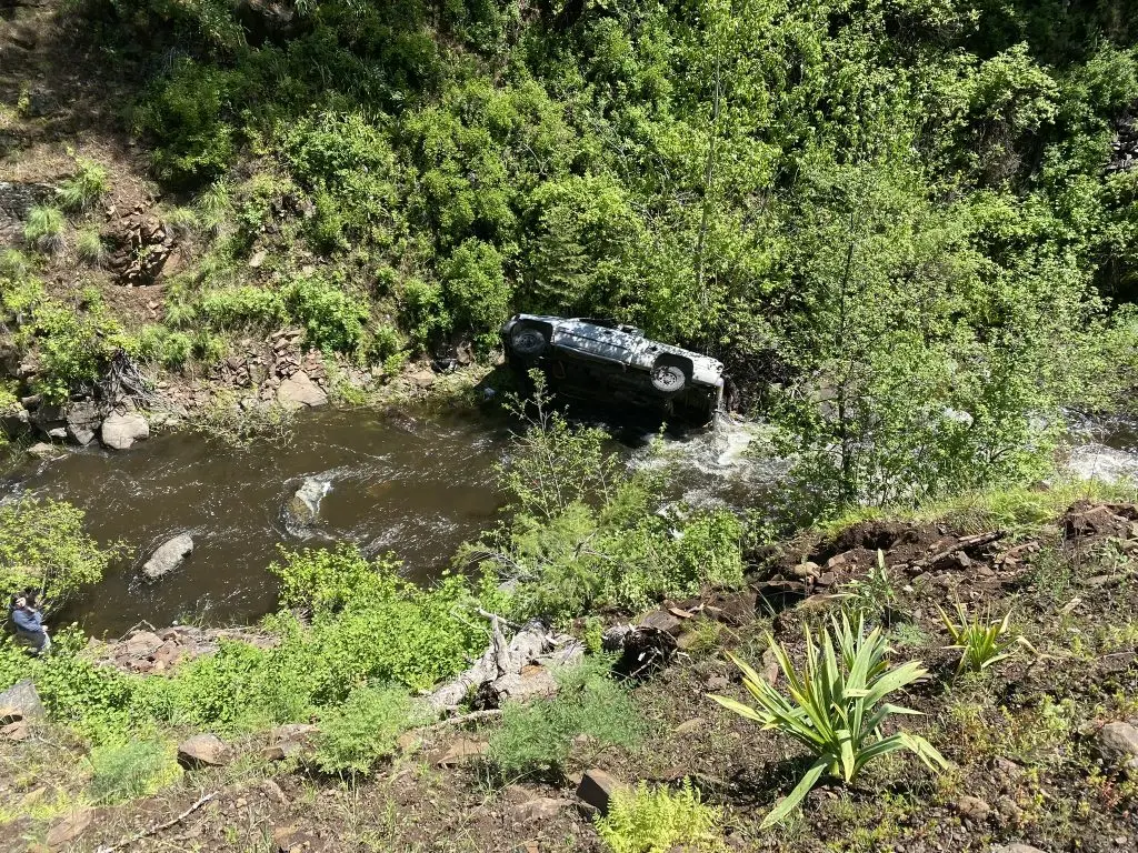 Dog Saves Owner After Car Crash in Oregon Mountains