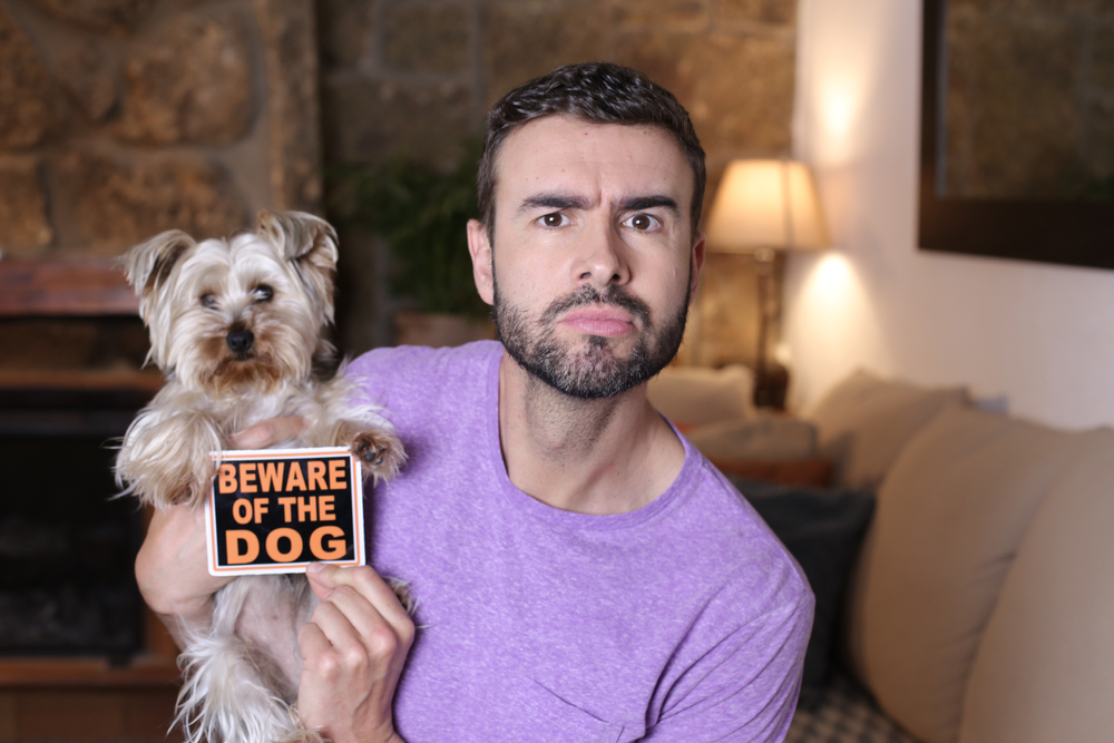 Do You Want the Perfect Guard Dog? Then Avoid These 15 Breeds