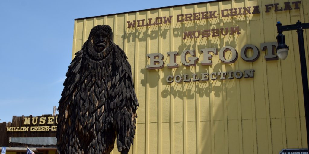 Beyond the Myth: Why Many Americans Still Believe in Bigfoot