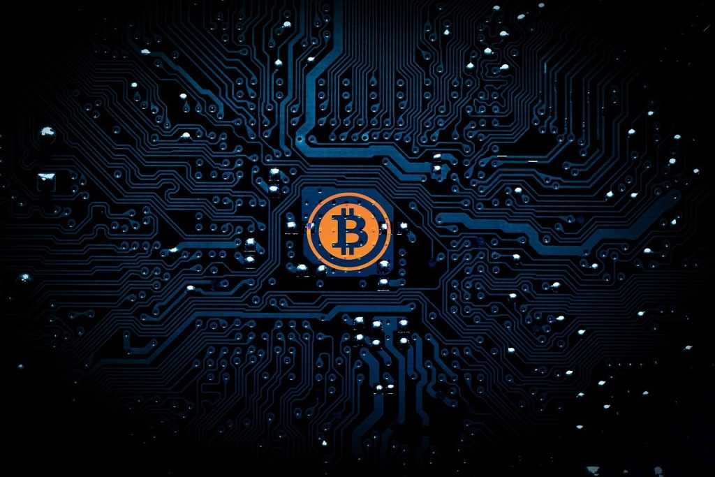 Bitcoin Hits All-Time High After Trump’s Election Win, Surging to $81,000