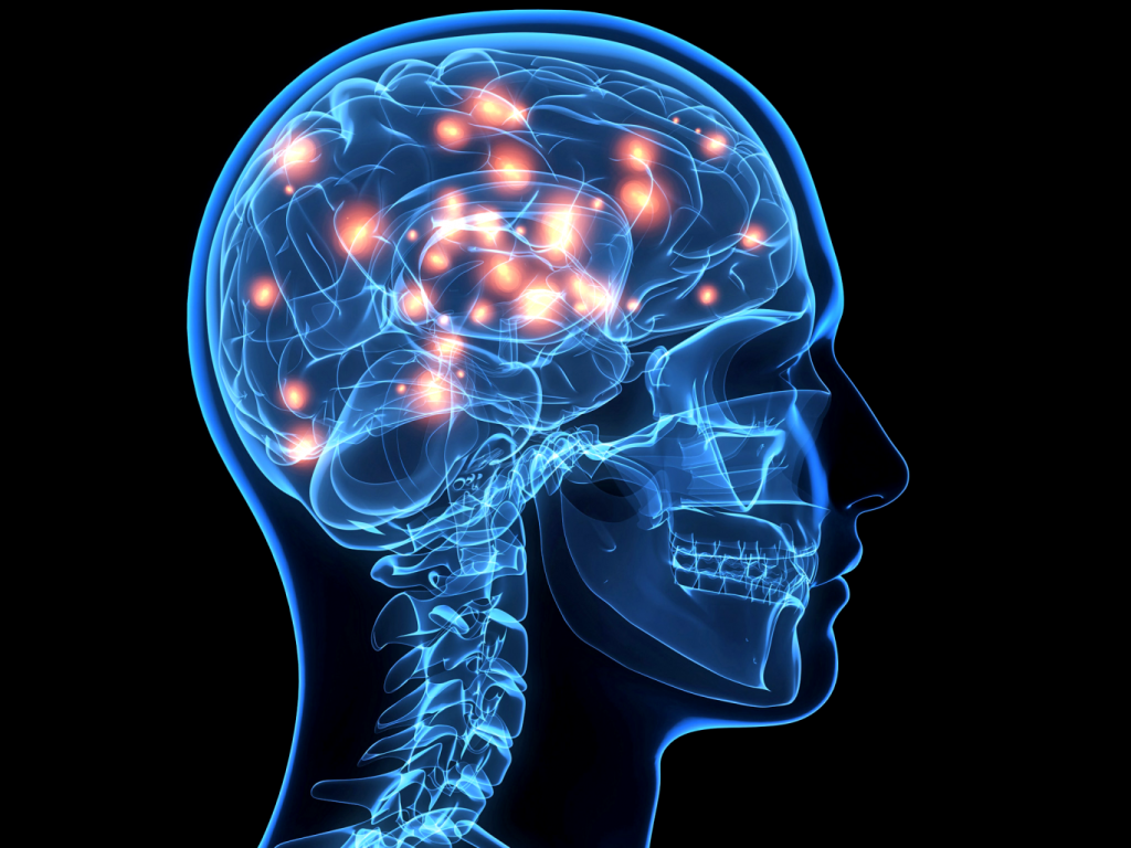 New Research Shows How Slowly We Actually Think