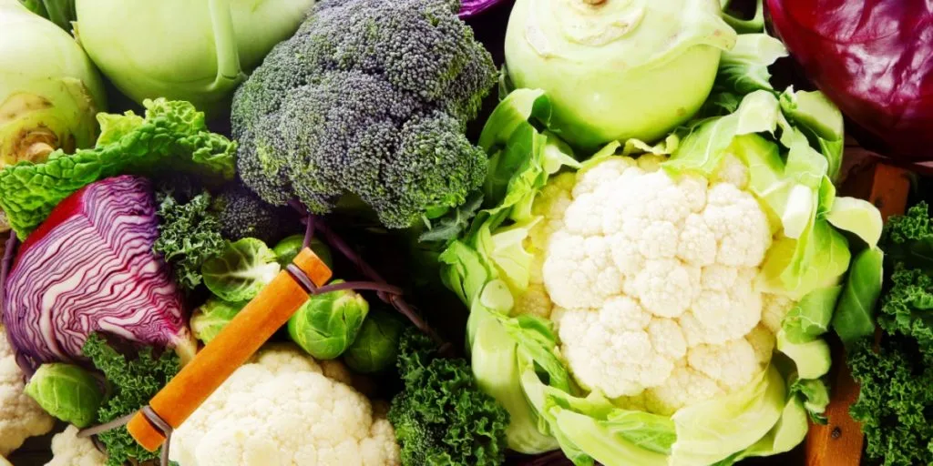 Are Kale, Kohlrabi and Cauliflower All the Same Plant?
