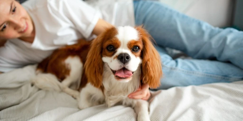 Veterinarian Warns Against Certain Dog Breeds Due to Health Issues