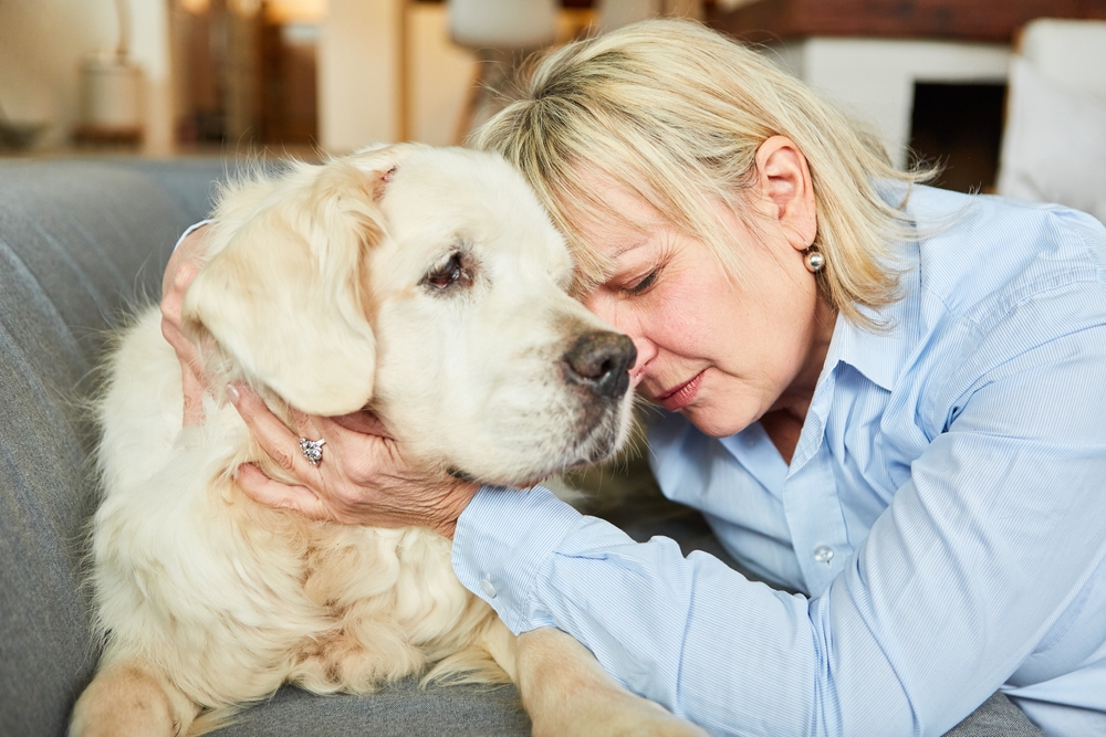 Helps against depression and other illnesses: Man’s best friend