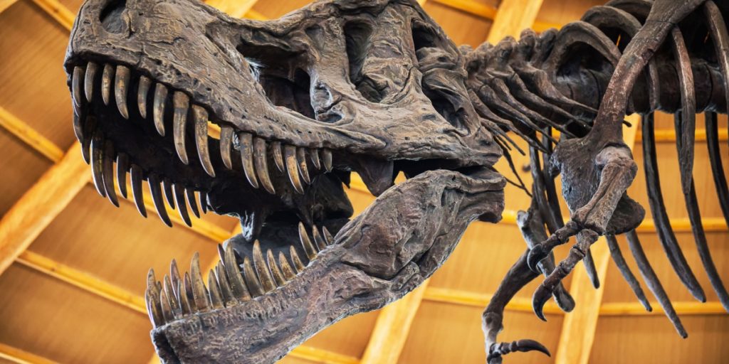 Mystery of Warm-Blooded Dinosaurs May Be Solved, Study Shows