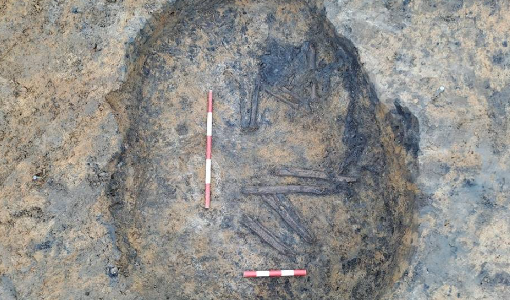 Ancient Human Remains Found at Prison Sewer Site