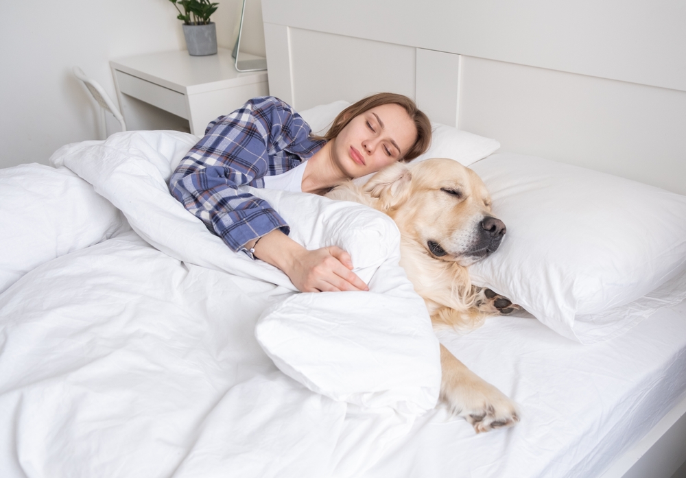 Here are 14 Lazy Dog Breeds: Perfect for Those Who Love to Relax at Home