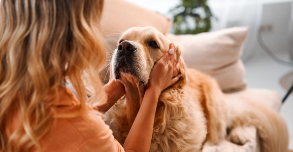 My Dog Saved My Life – True Stories