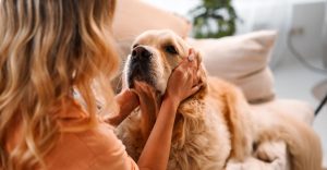 My Dog Saved My Life – True Stories