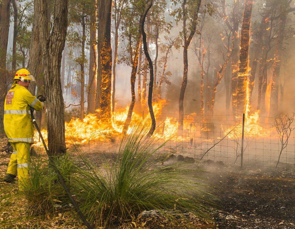 Wildfire Near Los Angeles Forces Over 1,000 Evacuations