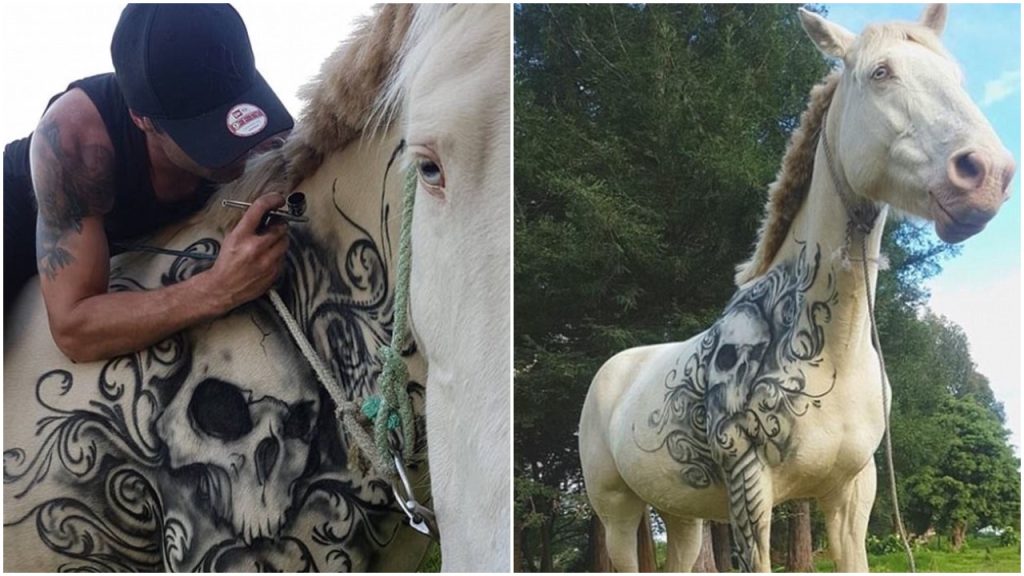 A tattoo artist has decorated a pony with an eye-catching skull to give it “self-confidence”