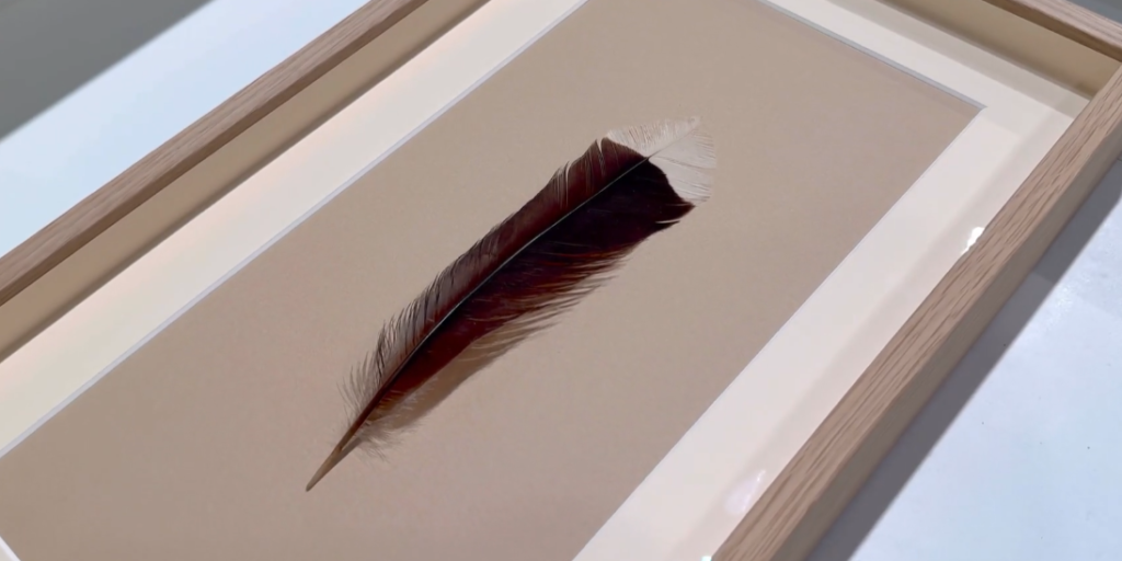 Bird Feather Sold at Auction for $46,521