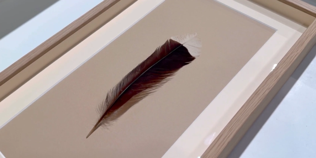Bird Feather Sold at Auction for $46,521