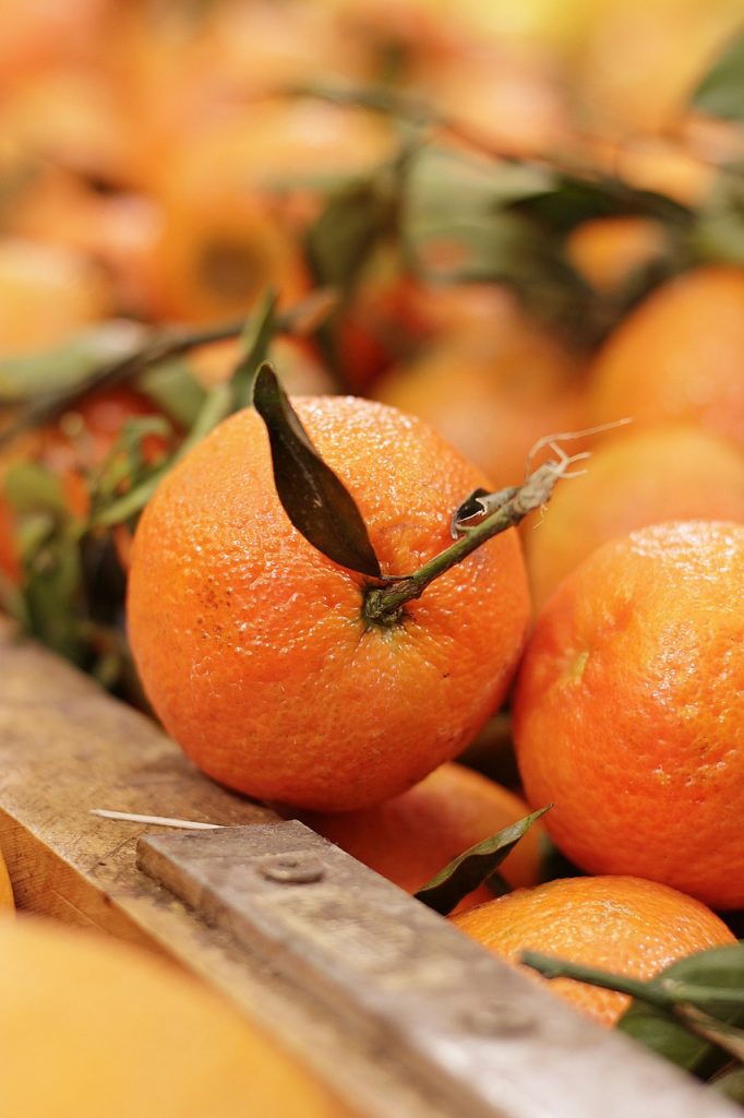 Valencia’s Citrus Farmers Face €1 Billion in Losses After Severe Storm