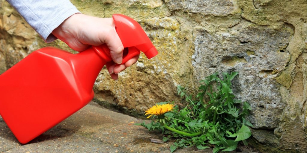 Natural Weed Killers: How to Use Your Pantry Staples for a Greener Garden