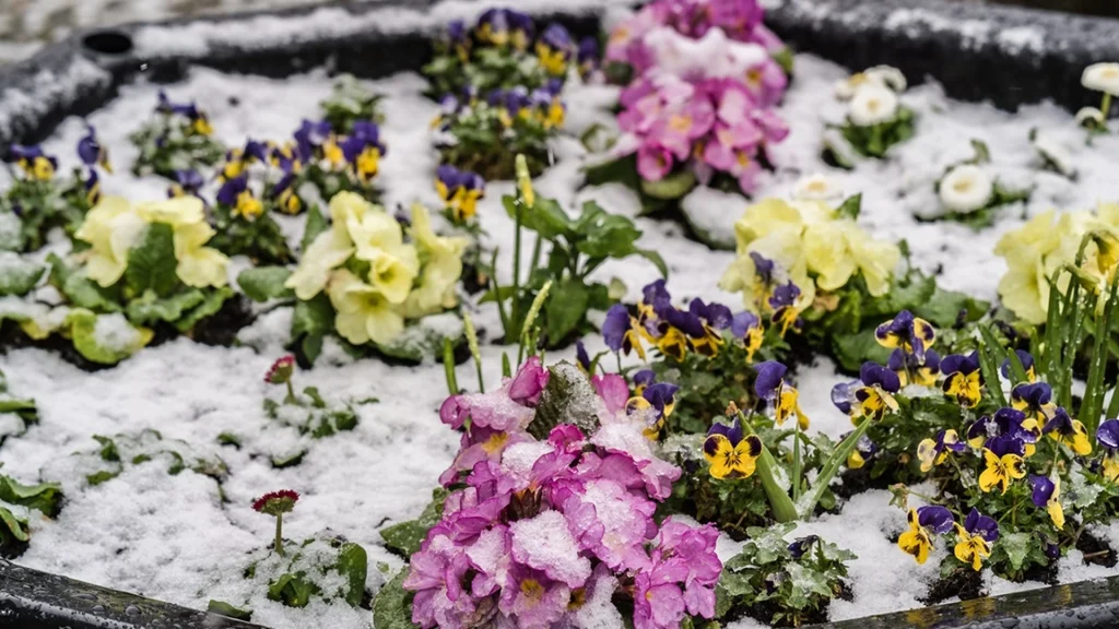 This January Gardening Mistake Could Ruin Your Entire Season