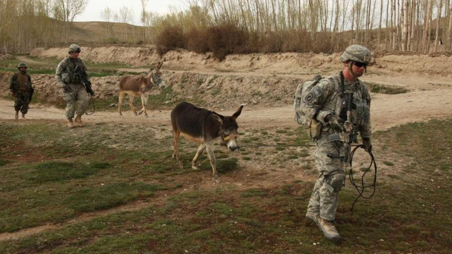 Russian Troops Forced to Use Donkeys as Military Transport