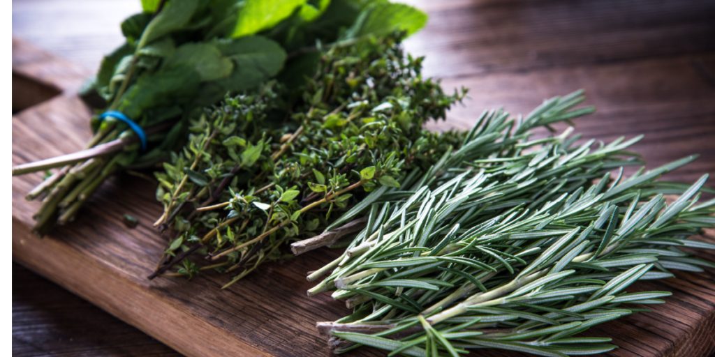 The Ultimate Guide to Preserving Your Herbs and Greens