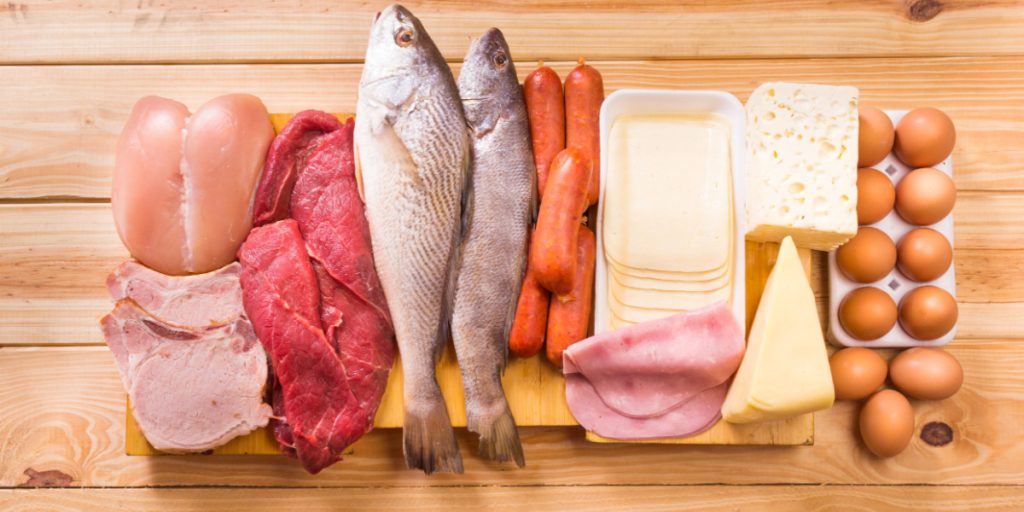 High-Protein Diets May Lead to Clogged Arteries