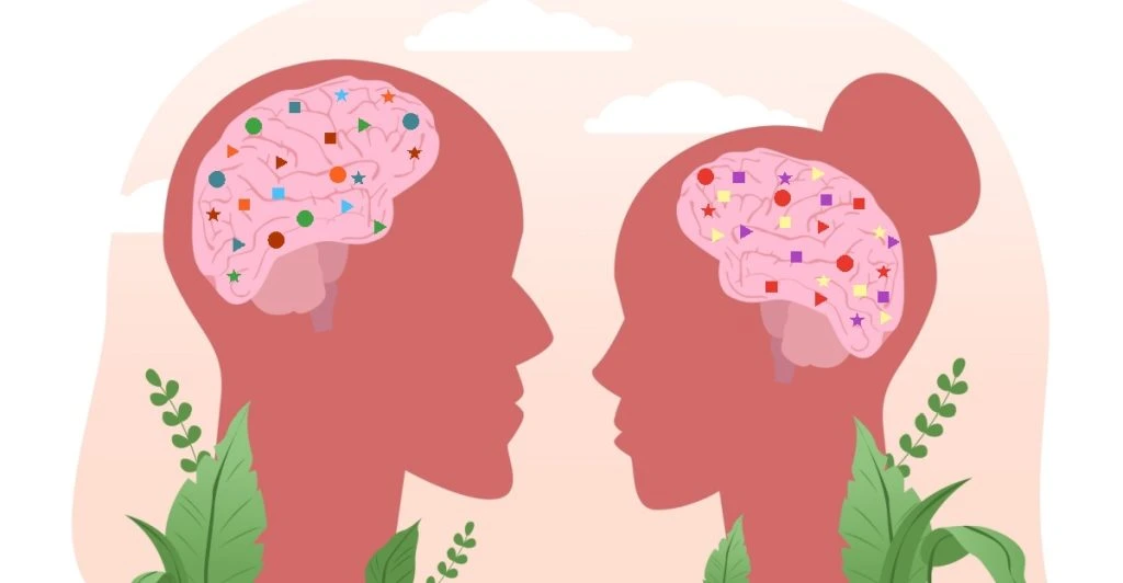Men vs. Women: The Brain’s Hidden Differences