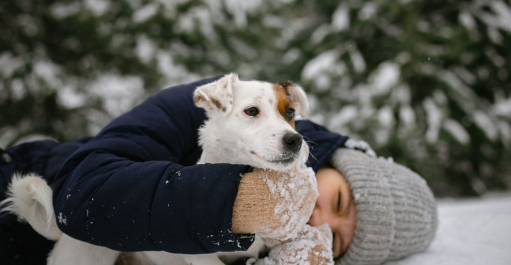 Just a Few Drops Can Be Deadly: These Symptoms May Indicate Your Dog Has Ingested Antifreeze