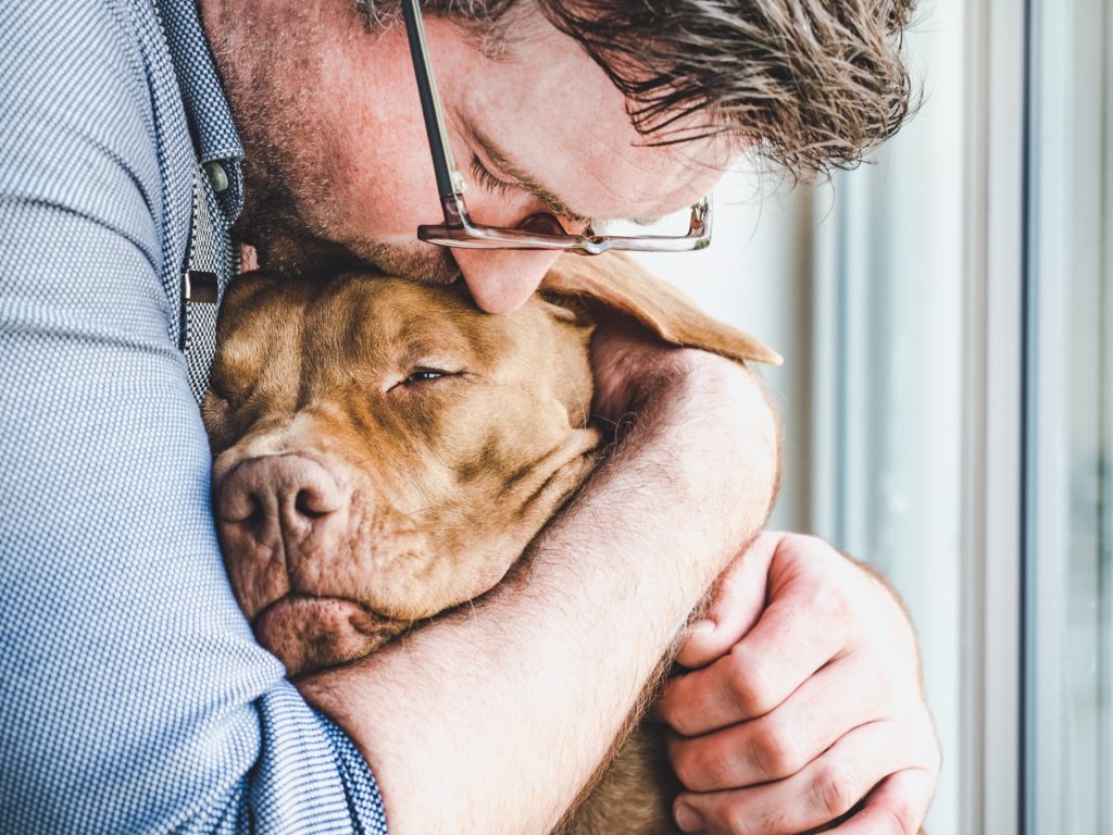 Do You Love Your Dog More Than People? Here Are 13 Signs!