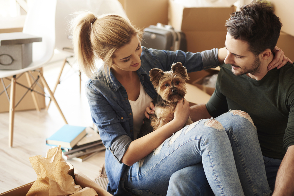 Pets in Small Homes: 18 Fantastic Dog Breeds for Apartments and Townhouses