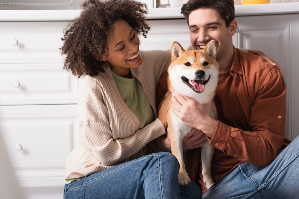 Unconditional Love: 11 Signs That Your Dog Loves You