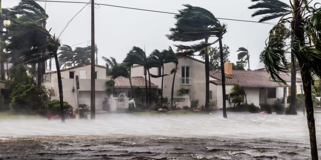 Hurricane Milton Claims 15 Lives, Millions Without Power
