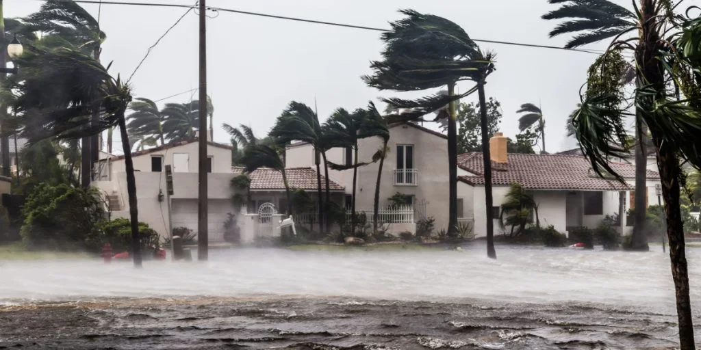 Hurricane Milton Claims 15 Lives, Millions Without Power