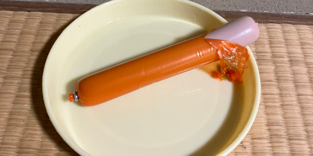 Japanese Man Lives Extremely Frugally for 21 Years to Retire Early