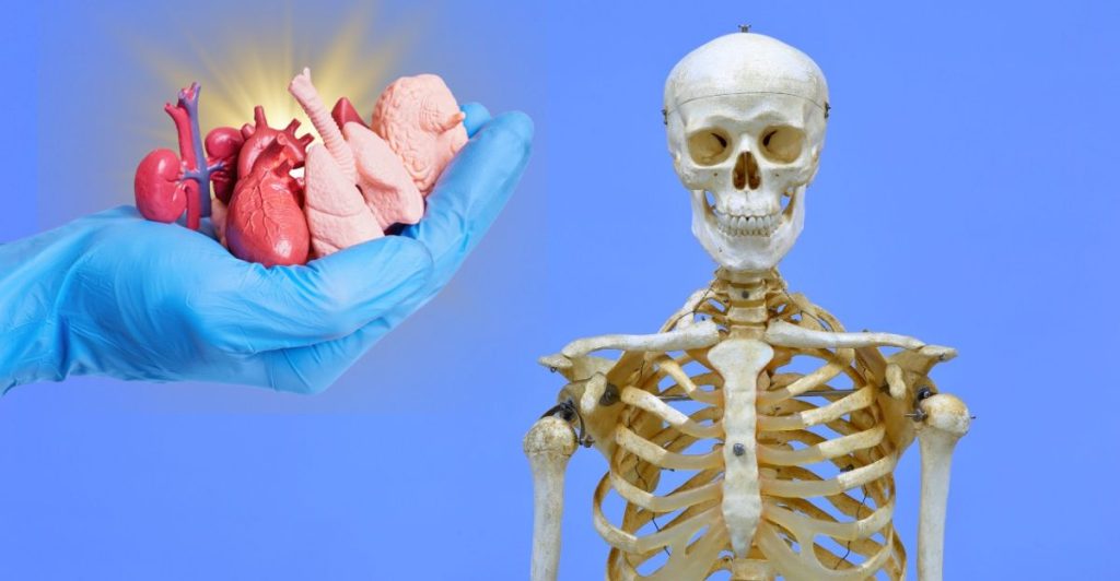 Incredible Facts: They Sound Wrong but Are Amazingly True