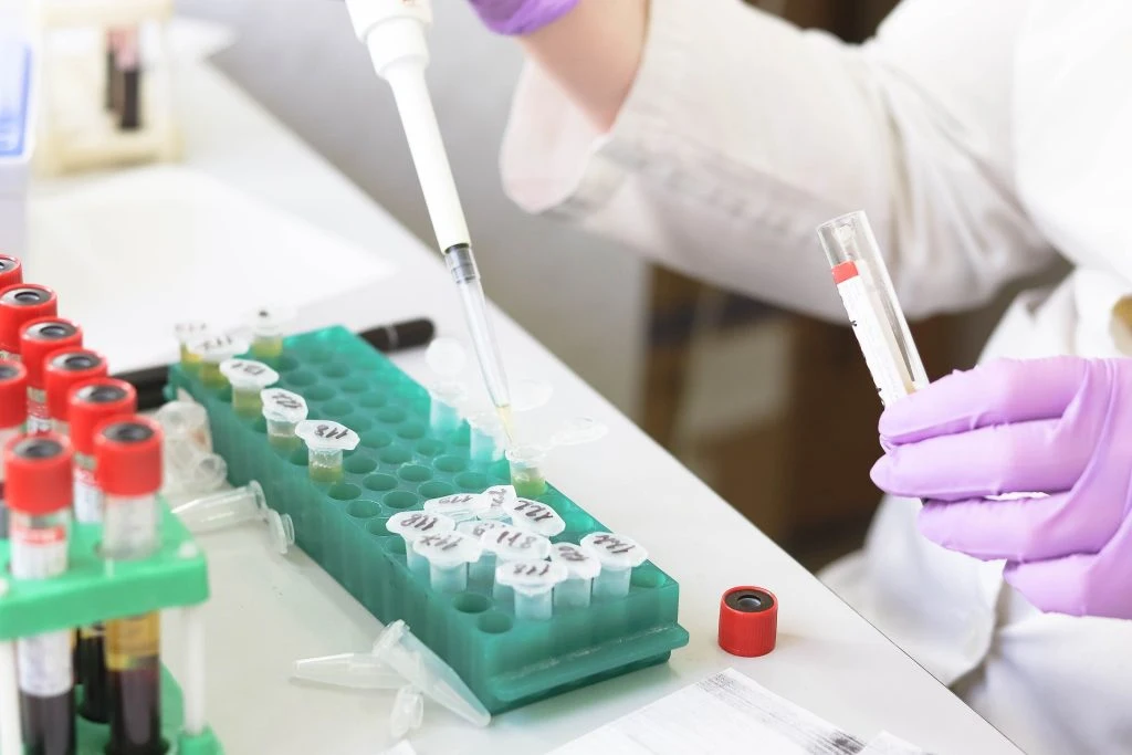 Scientists Find Bacteria in Asteroid Samples