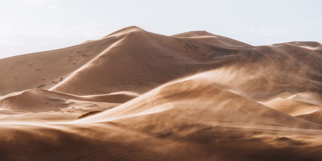 The Sahara’s Largest Sand Dune Lay Dormant for 8,000 Years