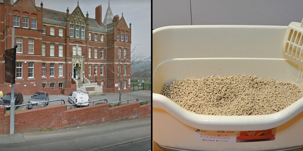 School denies offering litter trays for students identifying as cats