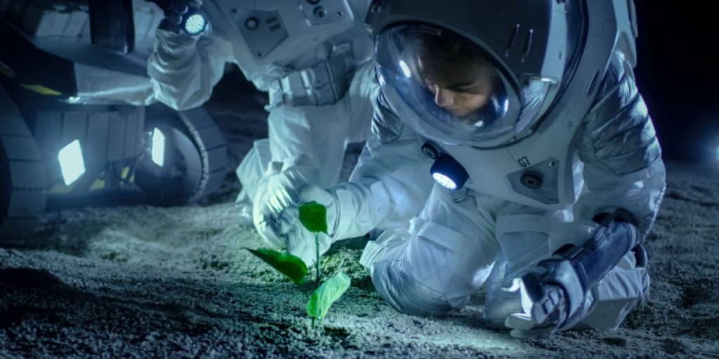 Withstands -196°C: This Plant Could Probably Grow on Mars