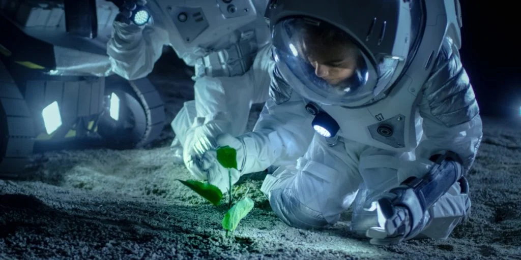 Withstands -196°C: This Plant Could Probably Grow on Mars