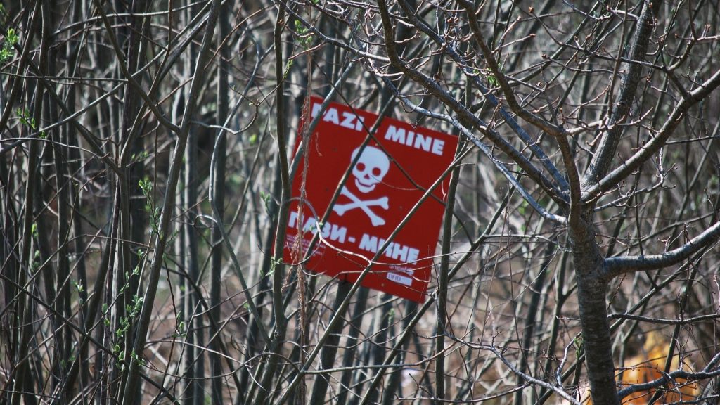 Landmines Injure 1,000+ Ukrainians, Including 100 Children