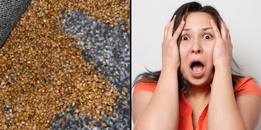 Mother puzzled by bizarre discovery behind son’s bed: Images spark fear in comment section