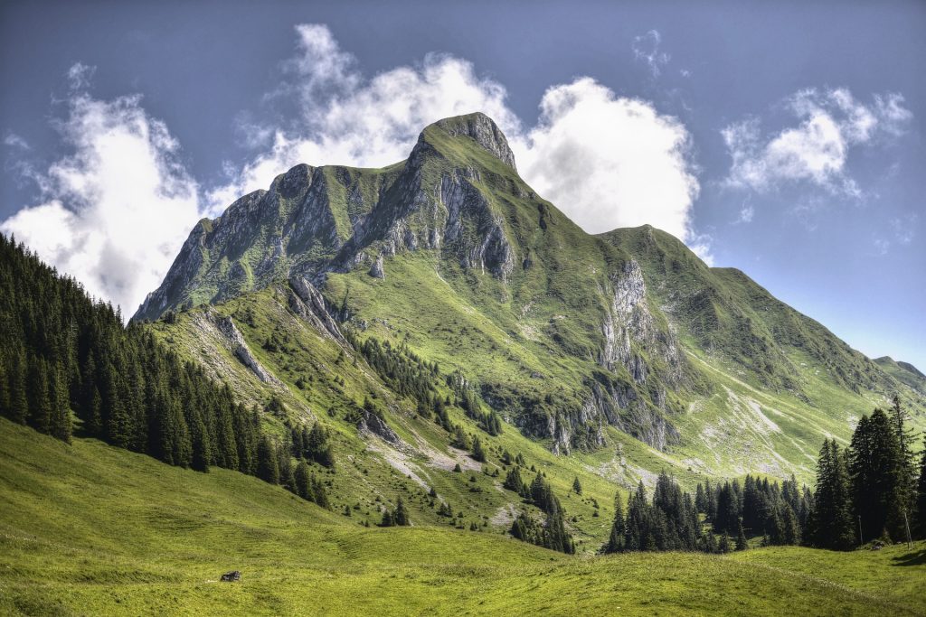 PHOTOS: Mysterious Symbols From the Bronze Age Discovered in the Italian Alps
