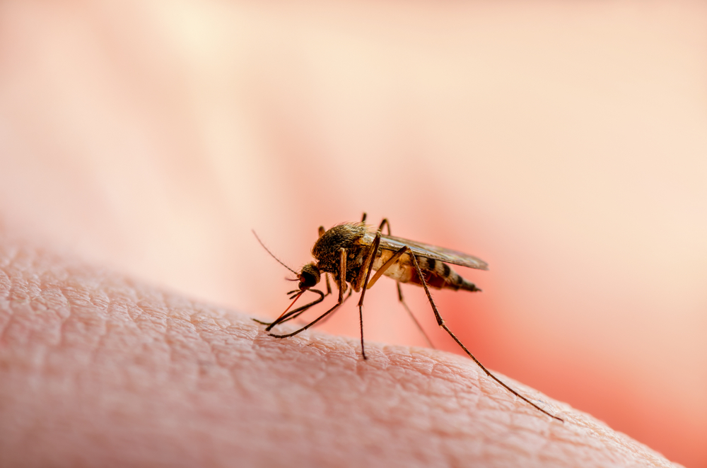 Why Are Some People Mosquito Magnets?