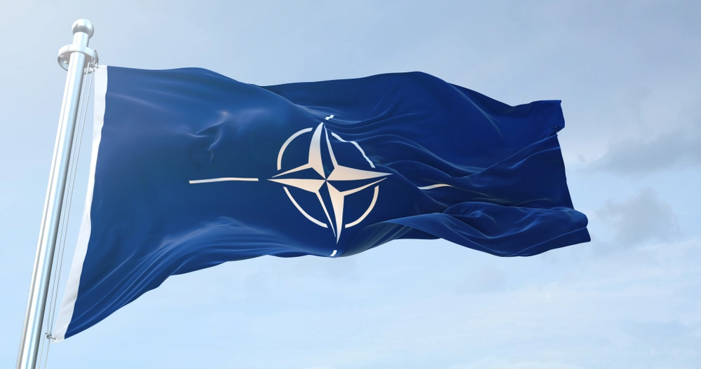 Professor is concerned about NATO: This is a Vulnerability