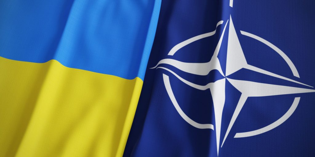 NATO Parliament Calls for Lifting Restrictions on Ukraine’s Use of Western Weapons