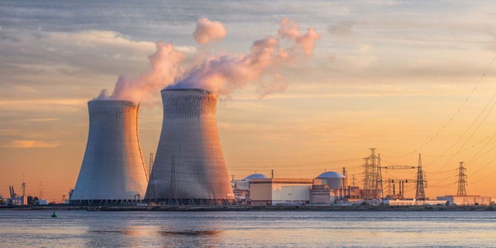 Mushrooms from Chernobyl’s Reactors Could Help Astronauts in Space