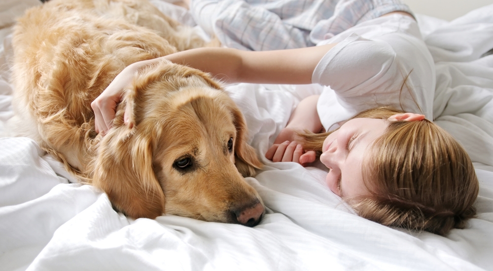 These 20 Cute Dogs Will Brighten Your Mood And Make The Day A Bit Better