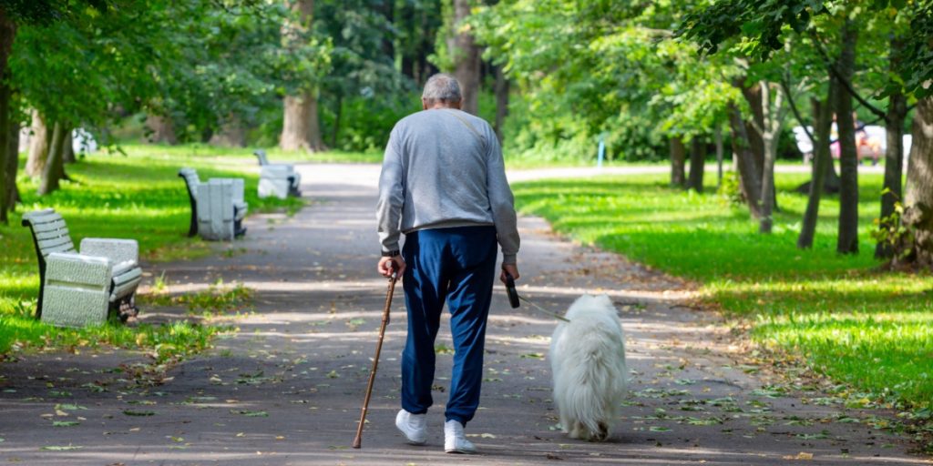 What’s the Ideal Number of Daily Steps Based on Age? Here Are the Recommendations