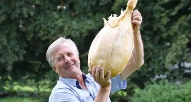 Man grows record-breaking onion: Weighs more than a bowling ball